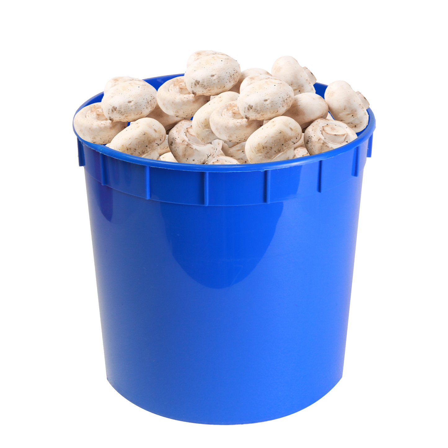 5lb Tall Pick Produce Pails