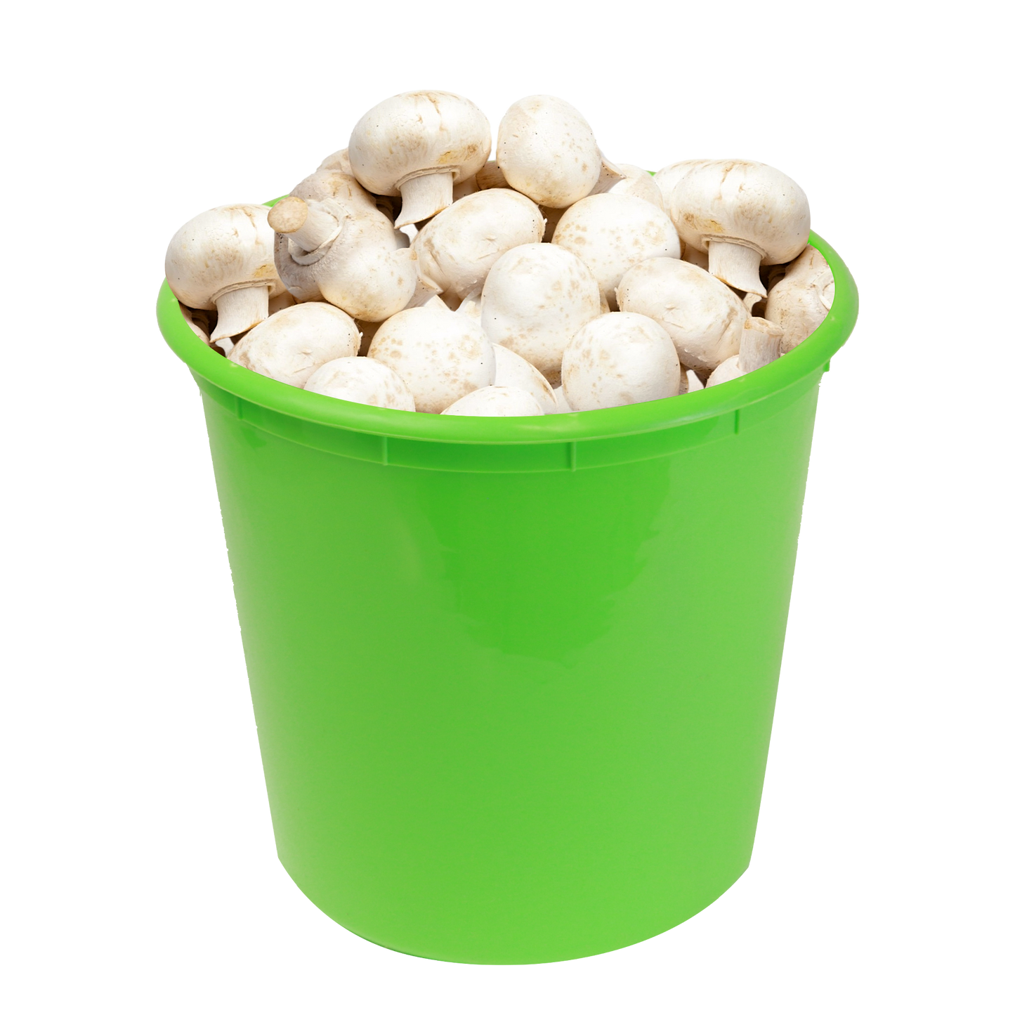 5lb Fresh Cut Produce Pails