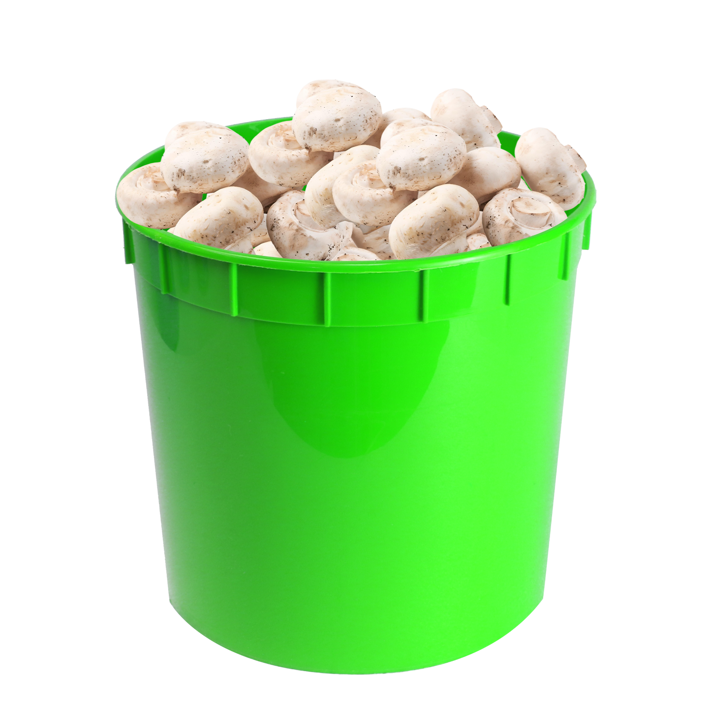 5lb Tall Pick Produce Pails
