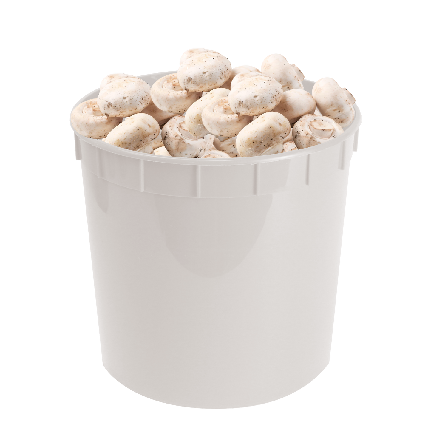 5lb Tall Pick Produce Pails