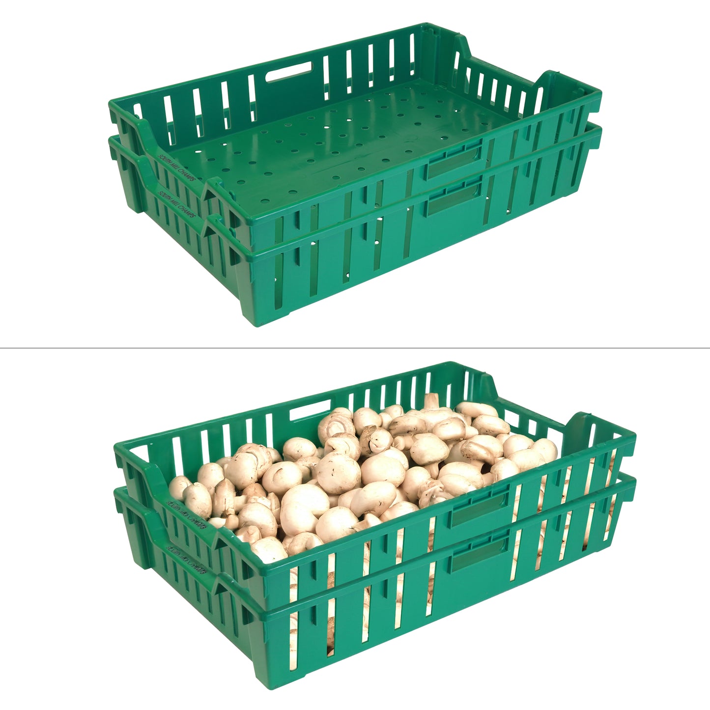 Pick & Pack Produce Trays - Regular