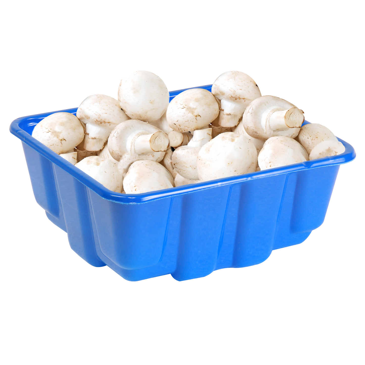 16oz Mushroom Tills