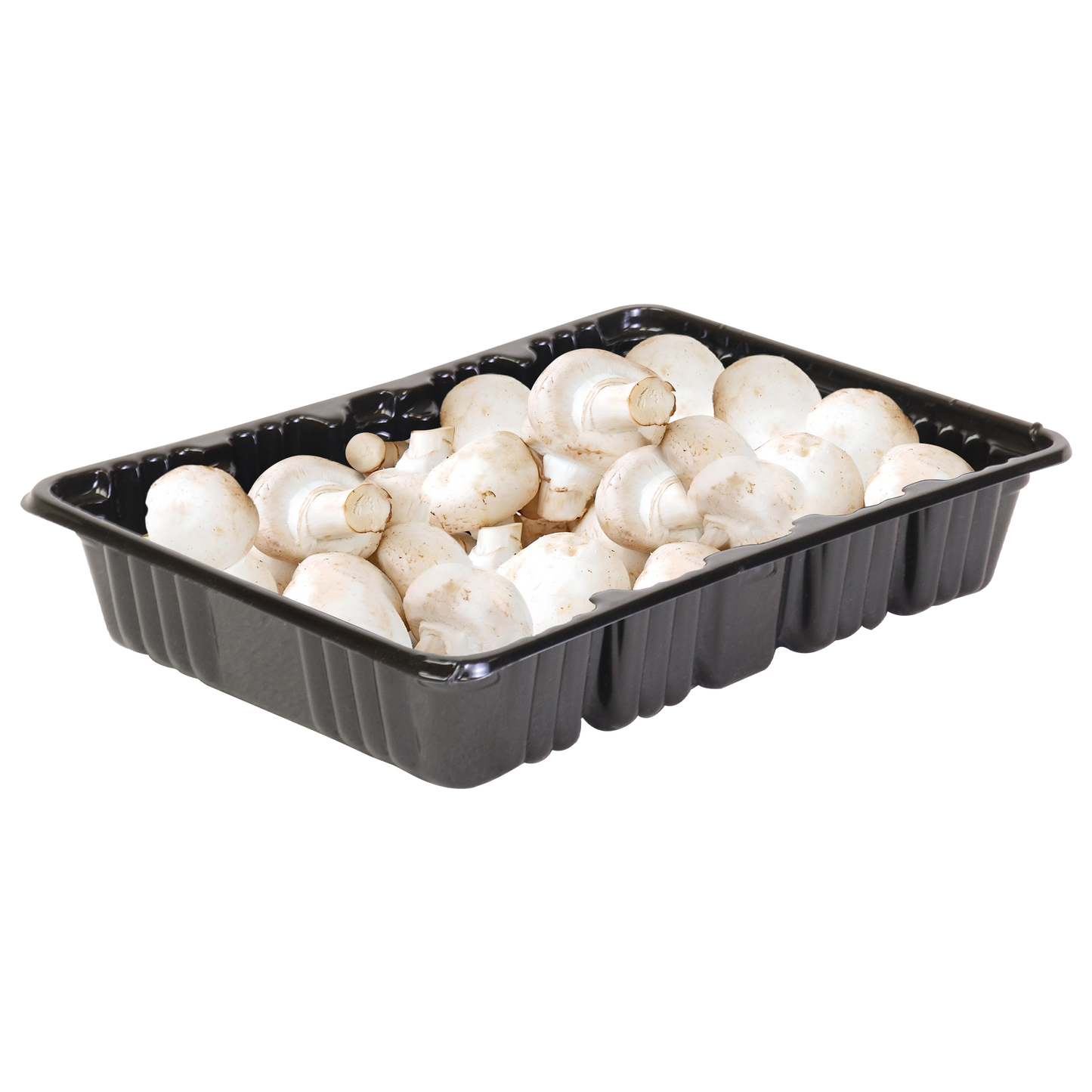 8oz Mushroom Tills - Wide