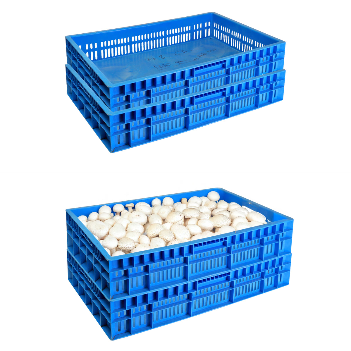 Custom Color Vegetable Trays | Concept Plastics