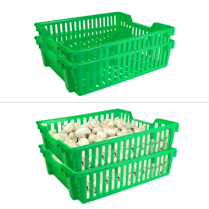 Pick & Pack Produce Trays - Large